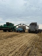 Праздник тех, кто кормит