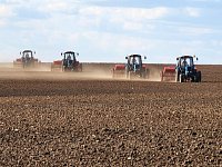 Праздник тех, кто кормит