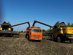 Праздник тех, кто кормит