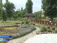 В Саратовской области действует пять реабилитационных центров для участников СВО