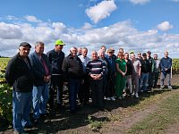 День поля в Воскресенском районе: с « NEWSEED» можно добиться  высоких  урожаев