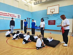 Маленькие герои ГТО: воспитанники МДОУ «Детский сад «Ромашка» с.Елшанка сделали первый шаг к олимпийским вершинам