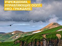 Саратовцев приглашают принять участие в конкурсе экологических и природоохранных проектов