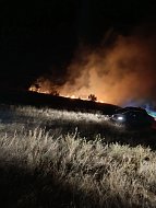 Главные задачи воскресенских лесоводов выполняются